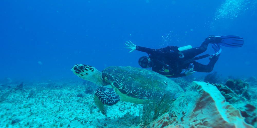Yemaya Reefs, A Small Luxury Hotel Little Corn Island Εξωτερικό φωτογραφία